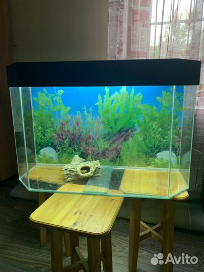 Аквариум панорамный