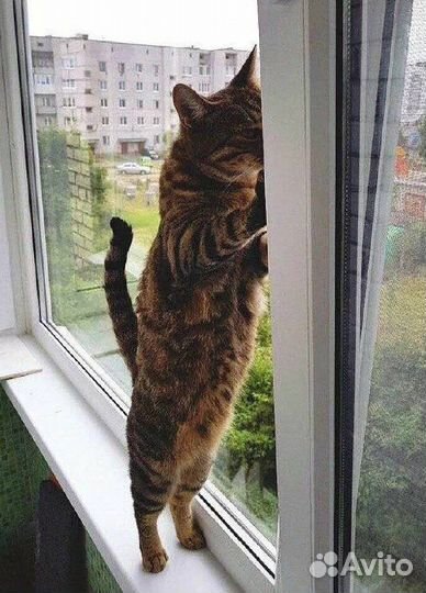 Сетки полотно антикошка, собственное производство