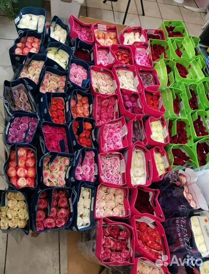 Розы, Цветы