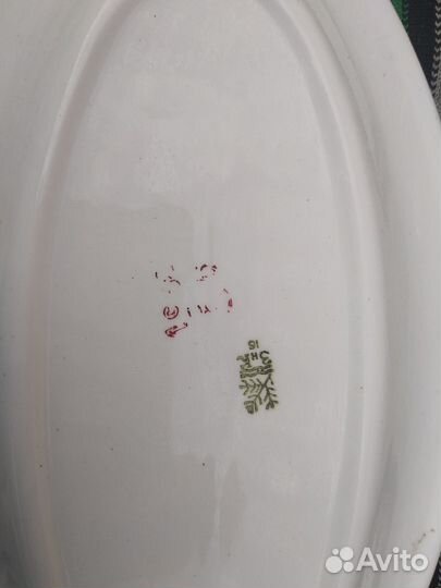 Селедочница зик