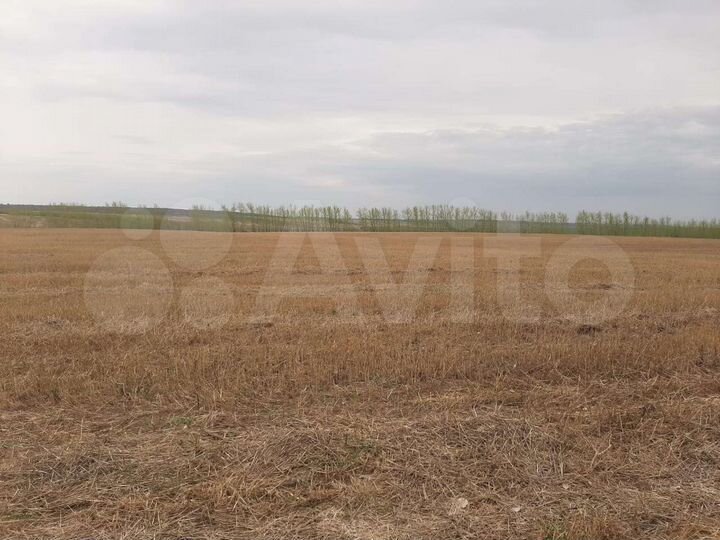 Участок 19 га (СНТ, ДНП)