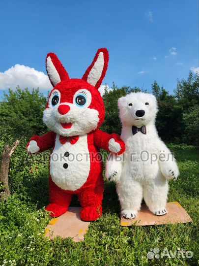 Надувные костюмы, мишка, чебурашка, панда