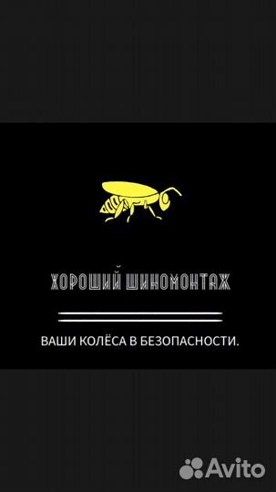 Zeta Antarctica 8 195/50 R16