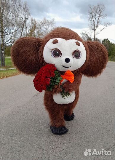 Поздравление от Ушастика