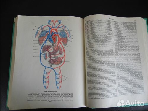 Популярная медицинская энциклопедия.1965 г