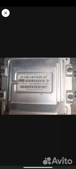 Мозги приора