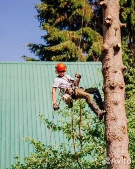 Спил деревьев Корчевка Расчистка участков