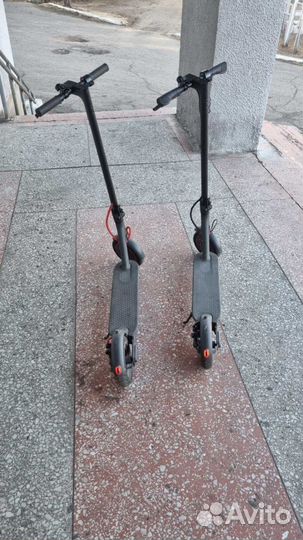 Самокат Xiaomi m365 pro оригинал