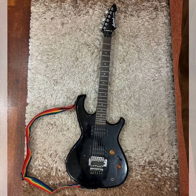 Электрогитара Aria Pro II RS Wildcat (+комплект)