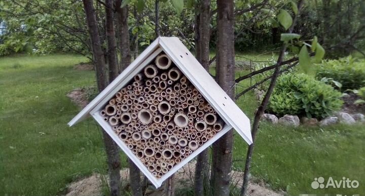 Домик для разведения божьих коровок