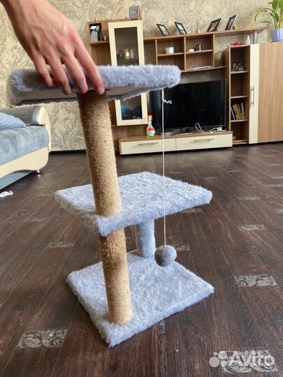 Когтеточка