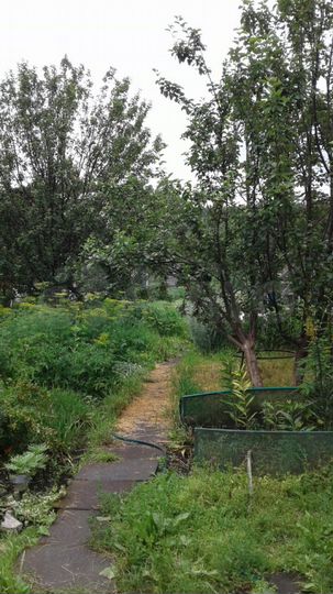 Дача 20 м² на участке 4 сот.