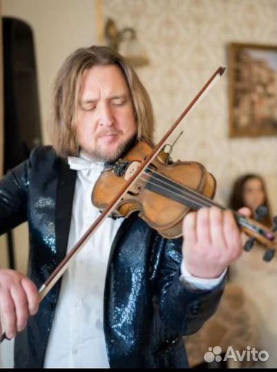 Скрипач Краснодар и край