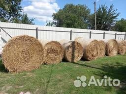 Солома гречневая тюки 3ц