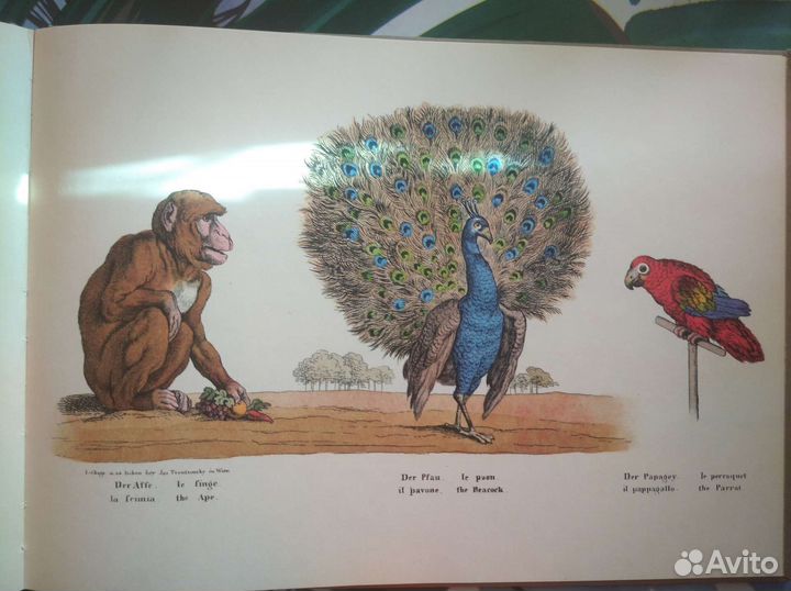 Книга- альбом на немецком языке