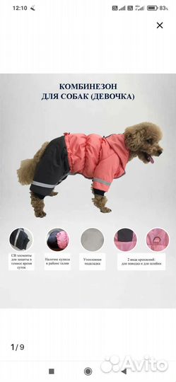 Зимний комбинезон для средней собаки(девочки)