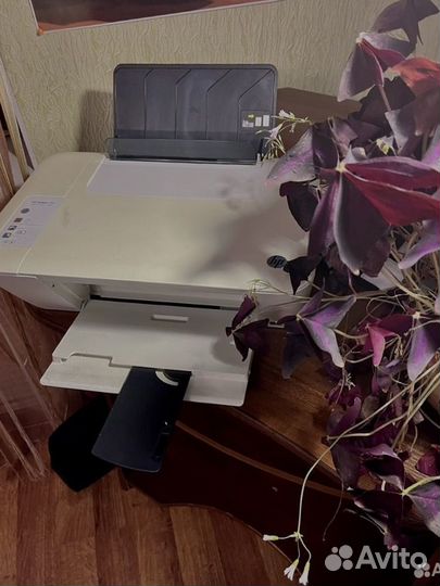 Мфу Принтер HP Deskjet 1510