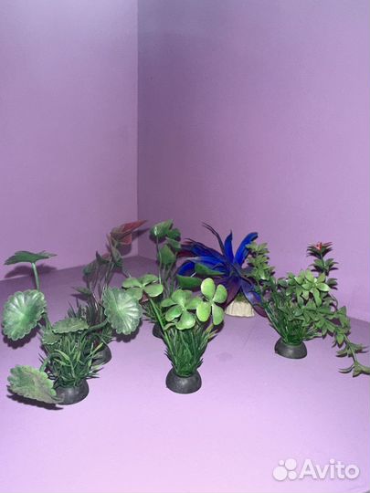 Декорации для аквариума