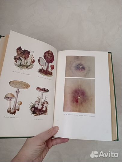 Книга судебная медицина