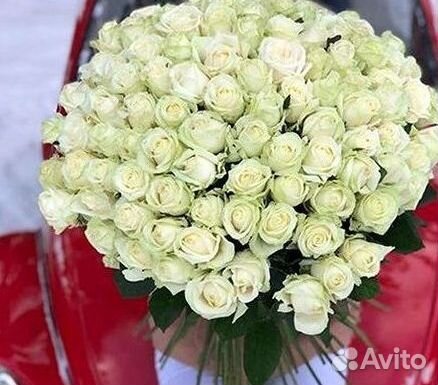 Розы гиганты 140 150 160 170 180 200