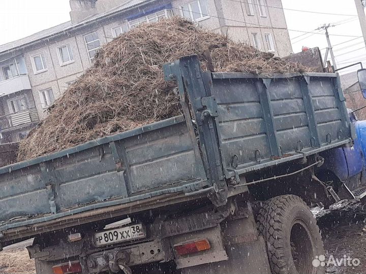 Навоз