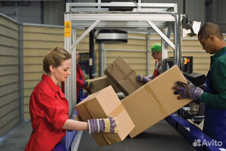 Упаковщики Солнечногорск, Вахта 15/30/4595