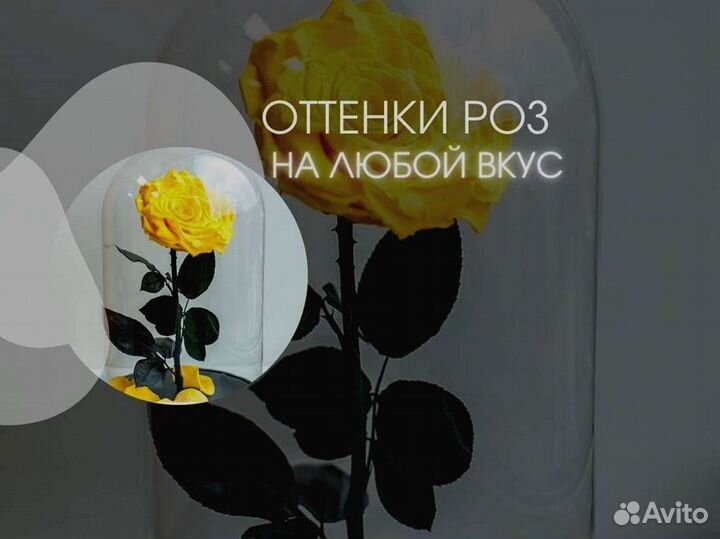 Роза в колбе