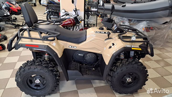 Hisun tactic 750 limited EPS