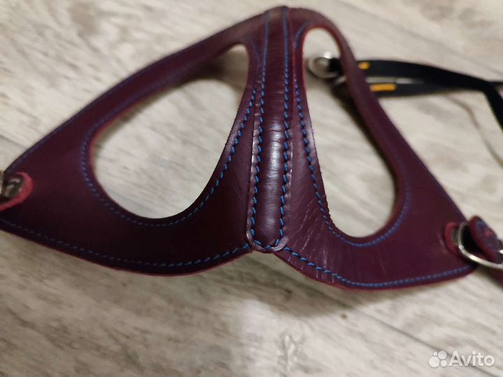 Шлейка для маленькой собаки