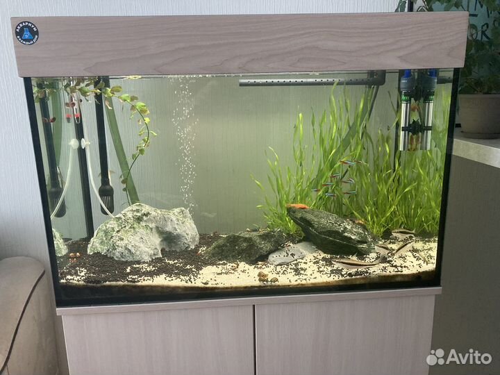 Аквариум (пустой) с тумбой 140л
