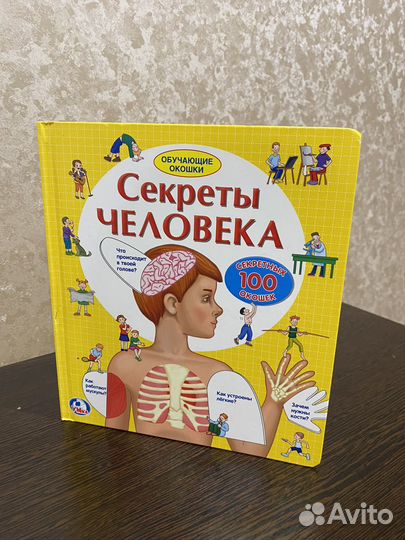 Книга детская с окошками Тело человека