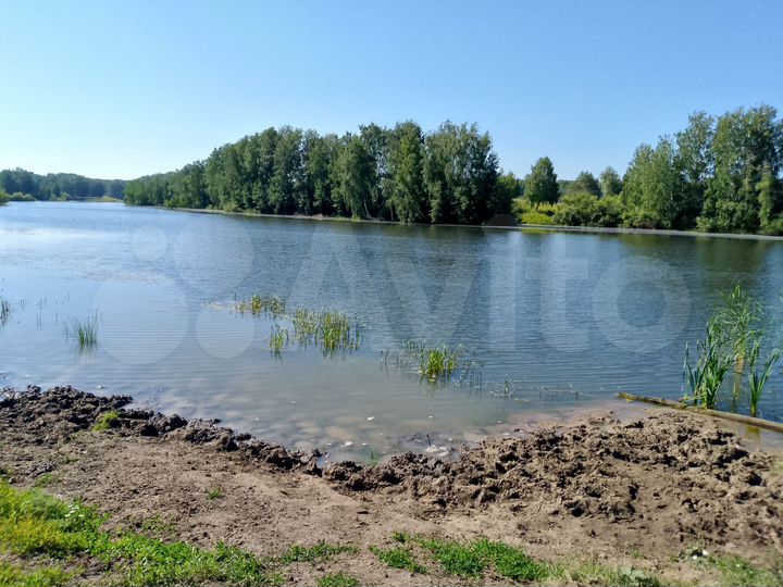 Участок 9,9 га (ИЖС)