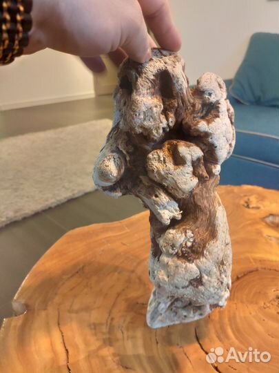 Коряги для аквариума или декора