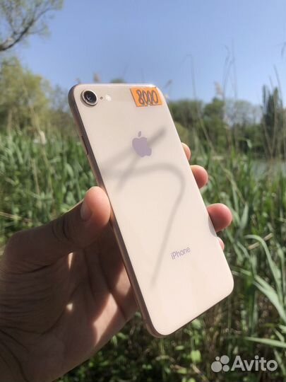 iPhone 8, 64 ГБ