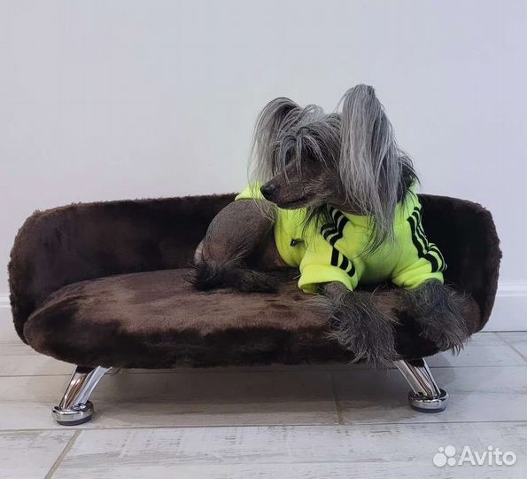 Лежанка для кота/кошки или маленькой собаки