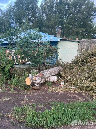 Бревна бесплатно