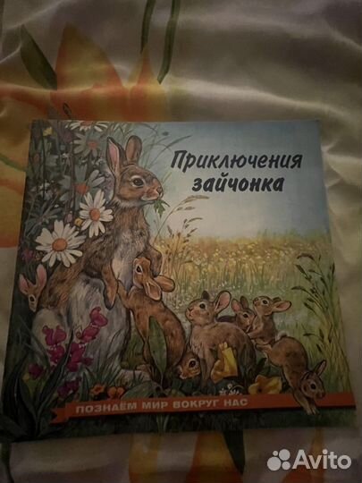 Познаем мир вокруг нас