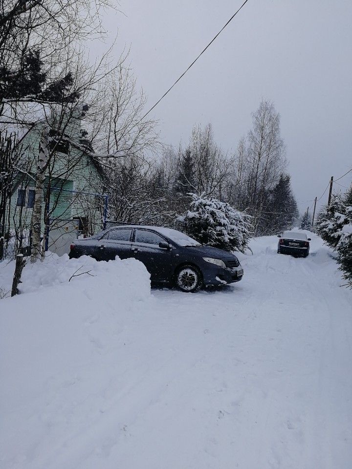 Toyota Corolla: фото владельца