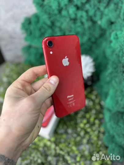 iPhone Xr, 64 ГБ
