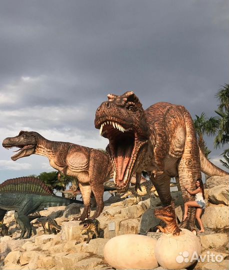 Таиланд. Экскурсии и помощь туристам