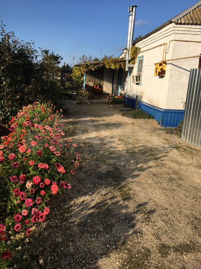 Дом 36,8 м² на участке 8,8 сот.