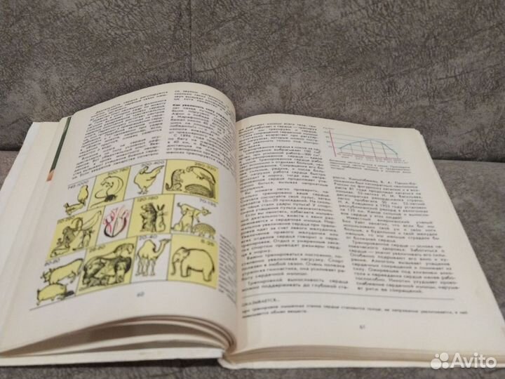 Книга по анатомии, физиологии и гигиене человека