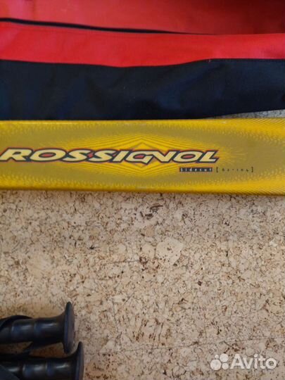 Горные лыжи