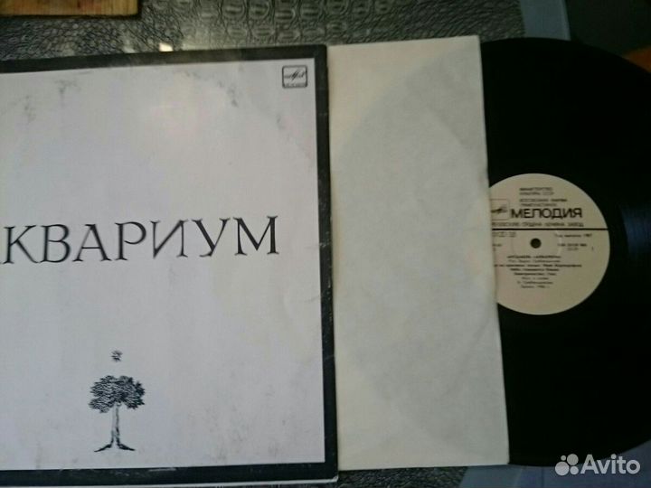 Грамплатинки