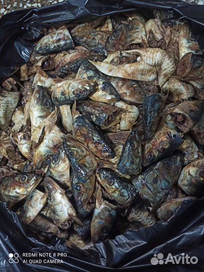 Рыба на корм животным