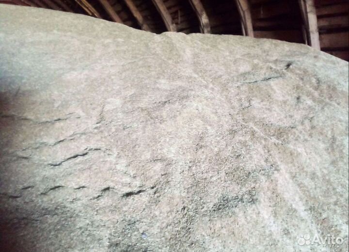 Фуражная пшеница, Пшеница озимая корма