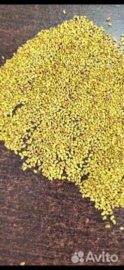 Семена Люцерна Суданка Эспарцет