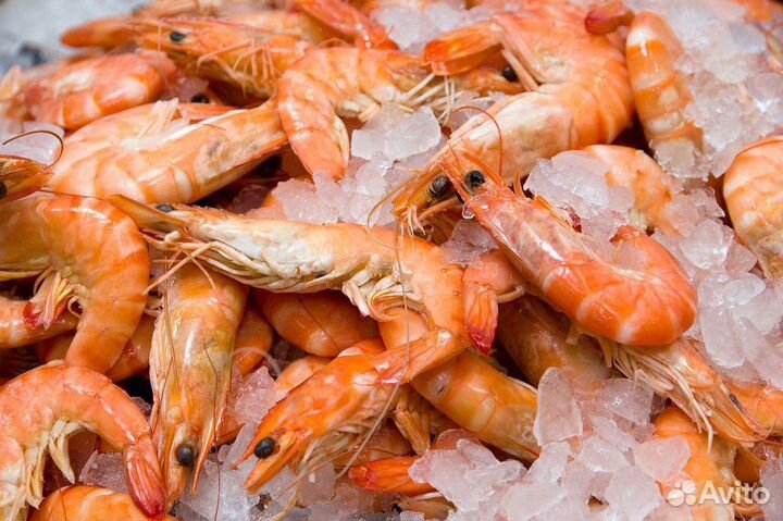 Рыбный магазин в популярной локации на продажу