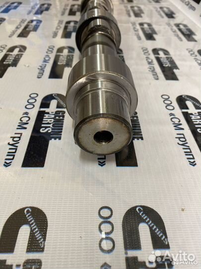 Распределительный вал (распредвал) Cummins QSL ISL
