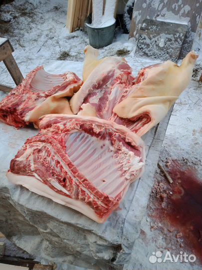 Мясо свинина домашняя